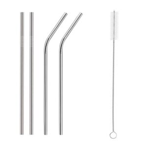 Reusable Stainless Steel Straw (Set of 4)