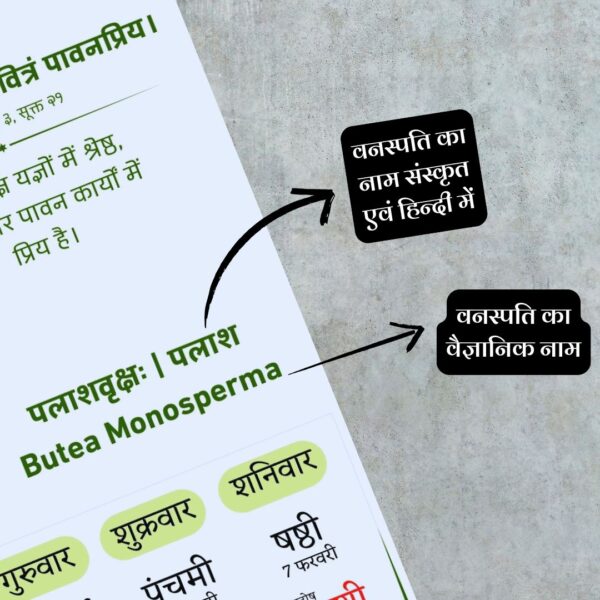 Sanatan Sarokaar Dindarshika Table Calendar - Image 8