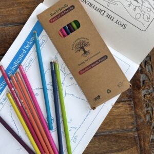 Sow and Grow Plantable Seed Pencils