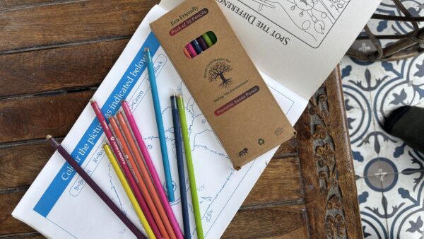 Sow and Grow Plantable Seed Pencils