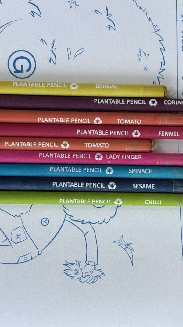 Sow and Grow Plantable Seed Pencils - Image 2