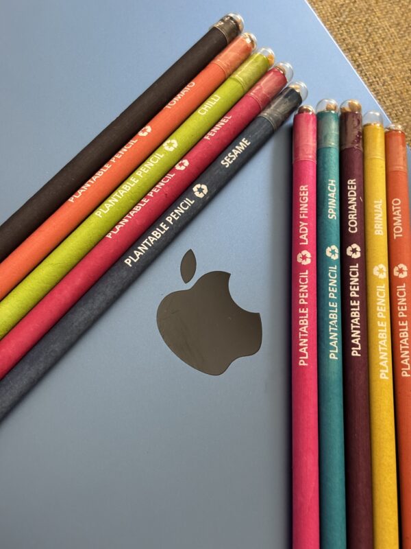 Sow and Grow Plantable Seed Pencils - Image 3