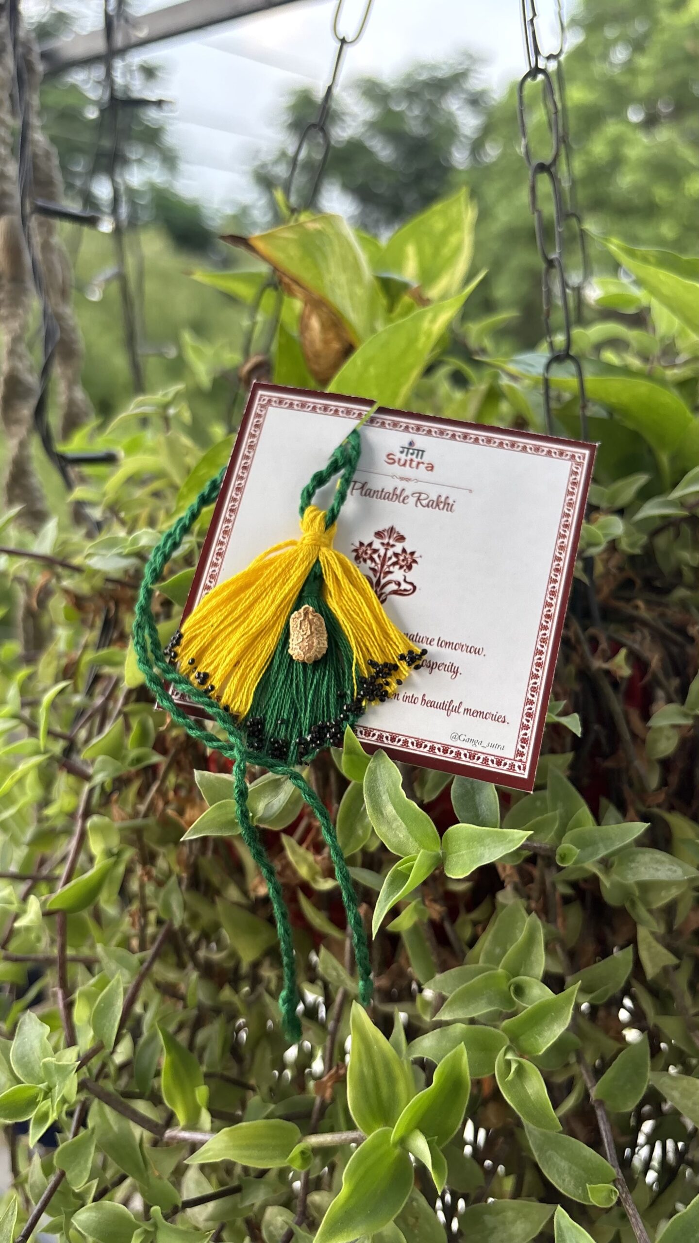 Plantable Seed Rakhi & Lumba Set for Bhaiya Bhabhi | Eco-Friendly Rakhi | Ganga Sutra - Image 2