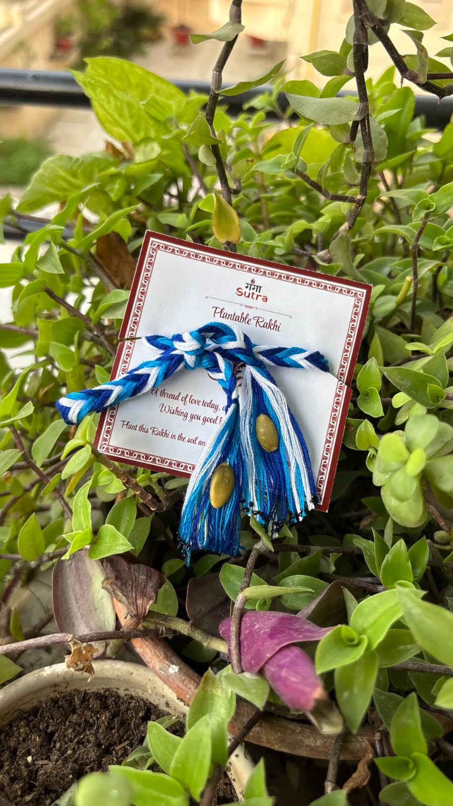 Plantable Seed Rakhi & Lumba Set for Bhaiya Bhabhi | Eco-Friendly Rakhi | Ganga Sutra - Image 7