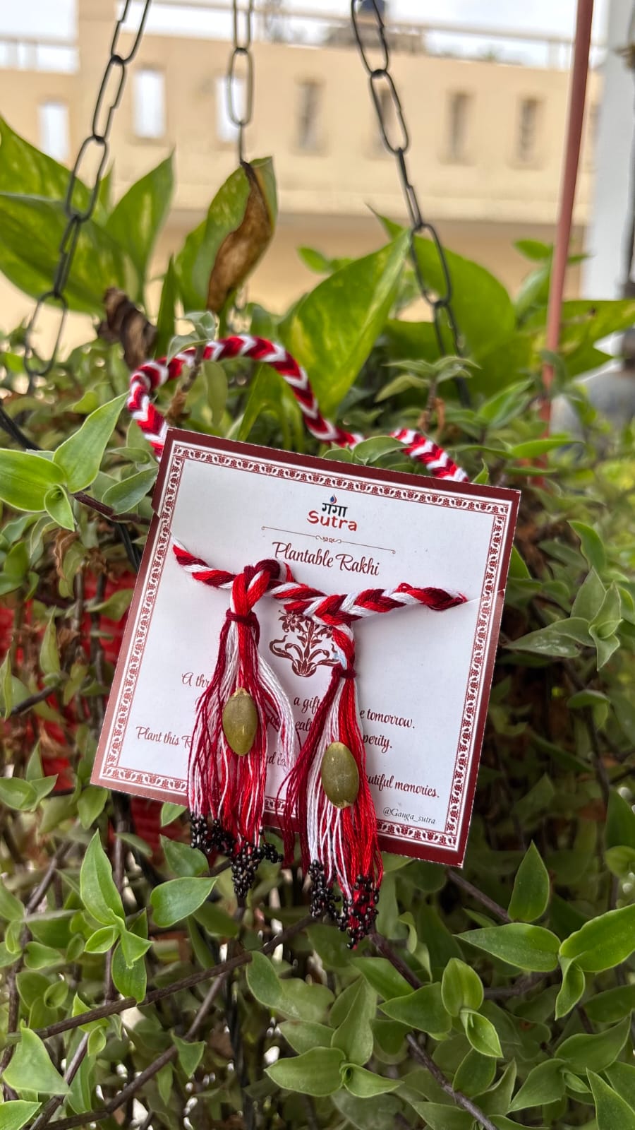 Plantable Seed Rakhi & Lumba Set for Bhaiya Bhabhi | Eco-Friendly Rakhi | Ganga Sutra - Image 5